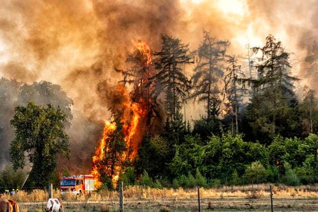 Waldbrand bei Sonsbeck Labbeck ** NUR FÜR REDAKTIONELLE ZWECKE ** EDITORIAL USE ONLY **<p>Eine Waldfläche brennt am 14.8.2026 Neben der Marienbaumer Straße in Lübeck. Die Feuerwehr ist mit vielen Kräften am Löschen Foto : Arnulf Stoffel Funke Foto Services < p> Buntes Deutschland NRW Sonsbeck Copyright: ArnulfxStoffel *** Forest Fire Near Sonsbeck Labbeck ** FOR EDITORIAL USE ONLY ** EDITORIAL USE ONLY ** p A forest area is on fire on August 14, 2026, next to Marienbaumer Straße in Lübeck. The fire department is on the scene with a large number of personnel to extinguish the blaze. Photo by Arnulf Stoffel, Funke Foto Services p Colorful Germany, North Rhine-Westphalia, Sonsbeck. Copyright ArnulfxStoffel Copyright: ArnulfxStoffel doc875rzeidixc3j6mzlcl ,EDITORIAL USE ONLY