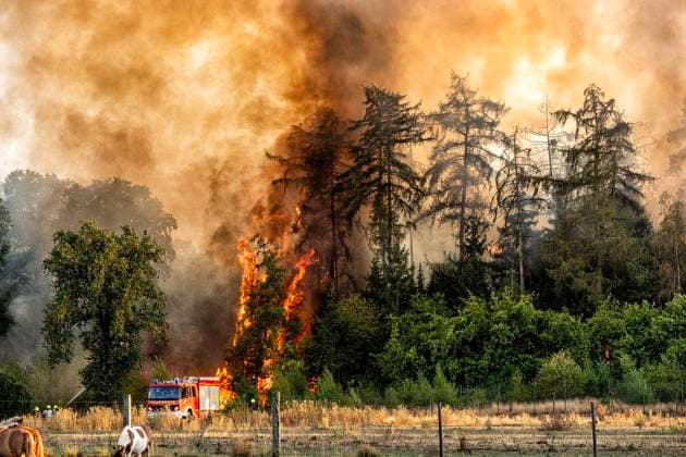 Waldbrand bei Sonsbeck Labbeck ** NUR FÜR REDAKTIONELLE ZWECKE ** EDITORIAL USE ONLY **<p>Eine Waldfläche brennt am 14.8.2026 Neben der Marienbaumer Straße in Lübeck. Die Feuerwehr ist mit vielen Kräften am Löschen Foto : Arnulf Stoffel Funke Foto Services < p> Buntes Deutschland NRW Sonsbeck Copyright: ArnulfxStoffel *** Forest Fire Near Sonsbeck Labbeck ** FOR EDITORIAL USE ONLY ** EDITORIAL USE ONLY ** p A forest area is on fire on August 14, 2026, next to Marienbaumer Straße in Lübeck. The fire department is on the scene with a large number of personnel to extinguish the blaze. Photo by Arnulf Stoffel, Funke Foto Services p Colorful Germany, North Rhine-Westphalia, Sonsbeck. Copyright ArnulfxStoffel Copyright: ArnulfxStoffel doc875rzg6j3fl1dup3fimm ,EDITORIAL USE ONLY