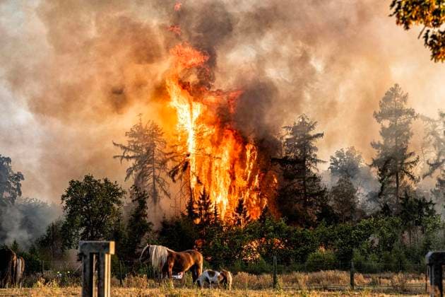 Waldbrand bei Sonsbeck Labbeck ** NUR FÜR REDAKTIONELLE ZWECKE ** EDITORIAL USE ONLY **<p>Eine Waldfläche brennt am 14.8.2026 Neben der Marienbaumer Straße in Lübeck. Die Feuerwehr ist mit vielen Kräften am Löschen Foto : Arnulf Stoffel Funke Foto Services < p> Buntes Deutschland NRW Sonsbeck Copyright: ArnulfxStoffel *** Forest Fire Near Sonsbeck Labbeck ** FOR EDITORIAL USE ONLY ** EDITORIAL USE ONLY ** p A forest area is on fire on August 14, 2026, next to Marienbaumer Straße in Lübeck. The fire department is on the scene with a large number of personnel to extinguish the blaze. Photo by Arnulf Stoffel, Funke Foto Services p Colorful Germany, North Rhine-Westphalia, Sonsbeck. Copyright ArnulfxStoffel Copyright: ArnulfxStoffel doc875rzgb4zfktl4e8ov2 ,EDITORIAL USE ONLY
