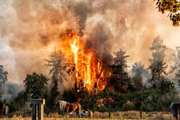 Waldbrand bei Sonsbeck Labbeck ** NUR FÜR REDAKTIONELLE ZWECKE ** EDITORIAL USE ONLY **<p>Eine Waldfläche brennt am 14.8.2026 Neben der Marienbaumer Straße in Lübeck. Die Feuerwehr ist mit vielen Kräften am Löschen Foto : Arnulf Stoffel Funke Foto Services < p> Buntes Deutschland NRW Sonsbeck Copyright: ArnulfxStoffel *** Forest Fire Near Sonsbeck Labbeck ** FOR EDITORIAL USE ONLY ** EDITORIAL USE ONLY ** p A forest area is on fire on August 14, 2026, next to Marienbaumer Straße in Lübeck. The fire department is on the scene with a large number of personnel to extinguish the blaze. Photo by Arnulf Stoffel, Funke Foto Services p Colorful Germany, North Rhine-Westphalia, Sonsbeck. Copyright ArnulfxStoffel Copyright: ArnulfxStoffel doc875rzghde8xgxqwaoy8 ,EDITORIAL USE ONLY