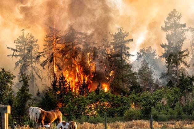 Waldbrand bei Sonsbeck Labbeck ** NUR FÜR REDAKTIONELLE ZWECKE ** EDITORIAL USE ONLY **<p>Eine Waldfläche brennt am 14.8.2026 Neben der Marienbaumer Straße in Lübeck. Die Feuerwehr ist mit vielen Kräften am Löschen Foto : Arnulf Stoffel Funke Foto Services < p> Buntes Deutschland NRW Sonsbeck Copyright: ArnulfxStoffel *** Forest Fire Near Sonsbeck Labbeck ** FOR EDITORIAL USE ONLY ** EDITORIAL USE ONLY ** p A forest area is on fire on August 14, 2026, next to Marienbaumer Straße in Lübeck. The fire department is on the scene with a large number of personnel to extinguish the blaze. Photo by Arnulf Stoffel, Funke Foto Services p Colorful Germany, North Rhine-Westphalia, Sonsbeck. Copyright ArnulfxStoffel Copyright: ArnulfxStoffel doc875rzgvw3ew1acvxhp6b ,EDITORIAL USE ONLY