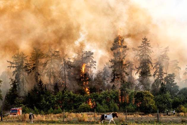 Waldbrand bei Sonsbeck Labbeck ** NUR FÜR REDAKTIONELLE ZWECKE ** EDITORIAL USE ONLY **<p>Eine Waldfläche brennt am 14.8.2026 Neben der Marienbaumer Straße in Lübeck. Die Feuerwehr ist mit vielen Kräften am Löschen Foto : Arnulf Stoffel Funke Foto Services < p> Buntes Deutschland NRW Sonsbeck Copyright: ArnulfxStoffel *** Forest Fire Near Sonsbeck Labbeck ** FOR EDITORIAL USE ONLY ** EDITORIAL USE ONLY ** p A forest area is on fire on August 14, 2026, next to Marienbaumer Straße in Lübeck. The fire department is on the scene with a large number of personnel to extinguish the blaze. Photo by Arnulf Stoffel, Funke Foto Services p Colorful Germany, North Rhine-Westphalia, Sonsbeck. Copyright ArnulfxStoffel Copyright: ArnulfxStoffel doc875rzgxn6rrkbm25odi ,EDITORIAL USE ONLY