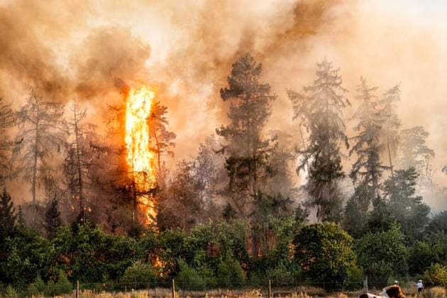 Waldbrand bei Sonsbeck Labbeck ** NUR FÜR REDAKTIONELLE ZWECKE ** EDITORIAL USE ONLY **<p>Eine Waldfläche brennt am 14.8.2026 Neben der Marienbaumer Straße in Lübeck. Die Feuerwehr ist mit vielen Kräften am Löschen Foto : Arnulf Stoffel Funke Foto Services < p> Buntes Deutschland NRW Sonsbeck Copyright: ArnulfxStoffel *** Forest Fire Near Sonsbeck Labbeck ** FOR EDITORIAL USE ONLY ** EDITORIAL USE ONLY ** p A forest area is on fire on August 14, 2026, next to Marienbaumer Straße in Lübeck. The fire department is on the scene with a large number of personnel to extinguish the blaze. Photo by Arnulf Stoffel, Funke Foto Services p Colorful Germany, North Rhine-Westphalia, Sonsbeck. Copyright ArnulfxStoffel Copyright: ArnulfxStoffel doc875rzh6wosg1mz8n2lcl ,EDITORIAL USE ONLY
