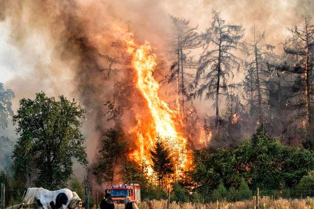 Waldbrand bei Sonsbeck Labbeck ** NUR FÜR REDAKTIONELLE ZWECKE ** EDITORIAL USE ONLY **<p>Eine Waldfläche brennt am 14.8.2026 Neben der Marienbaumer Straße in Lübeck. Die Feuerwehr ist mit vielen Kräften am Löschen Foto : Arnulf Stoffel Funke Foto Services < p> Buntes Deutschland NRW Sonsbeck Copyright: ArnulfxStoffel *** Forest Fire Near Sonsbeck Labbeck ** FOR EDITORIAL USE ONLY ** EDITORIAL USE ONLY ** p A forest area is on fire on August 14, 2026, next to Marienbaumer Straße in Lübeck. The fire department is on the scene with a large number of personnel to extinguish the blaze. Photo by Arnulf Stoffel, Funke Foto Services p Colorful Germany, North Rhine-Westphalia, Sonsbeck. Copyright ArnulfxStoffel Copyright: ArnulfxStoffel doc875rzhiq4ed1gu78gioy ,EDITORIAL USE ONLY