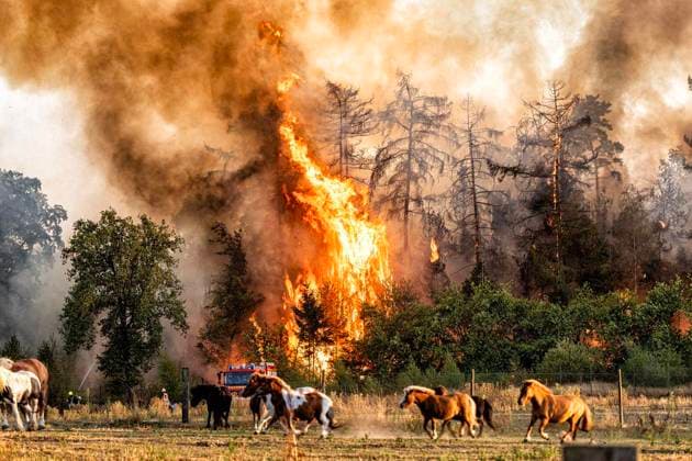 Waldbrand bei Sonsbeck Labbeck ** NUR FÜR REDAKTIONELLE ZWECKE ** EDITORIAL USE ONLY **<p>Eine Waldfläche brennt am 14.8.2026 Neben der Marienbaumer Straße in Lübeck. Die Feuerwehr ist mit vielen Kräften am Löschen Foto : Arnulf Stoffel Funke Foto Services < p> Buntes Deutschland NRW Sonsbeck Copyright: ArnulfxStoffel *** Forest Fire Near Sonsbeck Labbeck ** FOR EDITORIAL USE ONLY ** EDITORIAL USE ONLY ** p A forest area is on fire on August 14, 2026, next to Marienbaumer Straße in Lübeck. The fire department is on the scene with a large number of personnel to extinguish the blaze. Photo by Arnulf Stoffel, Funke Foto Services p Colorful Germany, North Rhine-Westphalia, Sonsbeck. Copyright ArnulfxStoffel Copyright: ArnulfxStoffel doc875rzhp5qegbbaedl0k ,EDITORIAL USE ONLY