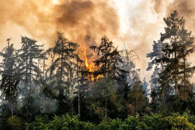 Waldbrand bei Sonsbeck Labbeck ** NUR FÜR REDAKTIONELLE ZWECKE ** EDITORIAL USE ONLY **<p>Eine Waldfläche brennt am 14.8.2026 Neben der Marienbaumer Straße in Lübeck. Die Feuerwehr ist mit vielen Kräften am Löschen Foto : Arnulf Stoffel Funke Foto Services < p> Buntes Deutschland NRW Sonsbeck Copyright: ArnulfxStoffel *** Forest Fire Near Sonsbeck Labbeck ** FOR EDITORIAL USE ONLY ** EDITORIAL USE ONLY ** p A forest area is on fire on August 14, 2026, next to Marienbaumer Straße in Lübeck. The fire department is on the scene with a large number of personnel to extinguish the blaze. Photo by Arnulf Stoffel, Funke Foto Services p Colorful Germany, North Rhine-Westphalia, Sonsbeck. Copyright ArnulfxStoffel Copyright: ArnulfxStoffel doc875rzcn6o6hn2fgiosv ,EDITORIAL USE ONLY