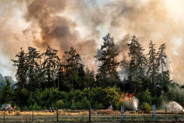 Waldbrand bei Sonsbeck Labbeck ** NUR FÜR REDAKTIONELLE ZWECKE ** EDITORIAL USE ONLY **<p>Eine Waldfläche brennt am 14.8.2026 Neben der Marienbaumer Straße in Lübeck. Die Feuerwehr ist mit vielen Kräften am Löschen Foto : Arnulf Stoffel Funke Foto Services < p> Buntes Deutschland NRW Sonsbeck Copyright: ArnulfxStoffel *** Forest Fire Near Sonsbeck Labbeck ** FOR EDITORIAL USE ONLY ** EDITORIAL USE ONLY ** p A forest area is on fire on August 14, 2026, next to Marienbaumer Straße in Lübeck. The fire department is on the scene with a large number of personnel to extinguish the blaze. Photo by Arnulf Stoffel, Funke Foto Services p Colorful Germany, North Rhine-Westphalia, Sonsbeck. Copyright ArnulfxStoffel Copyright: ArnulfxStoffel doc875rzcvcnvd1hgqogl85 ,EDITORIAL USE ONLY