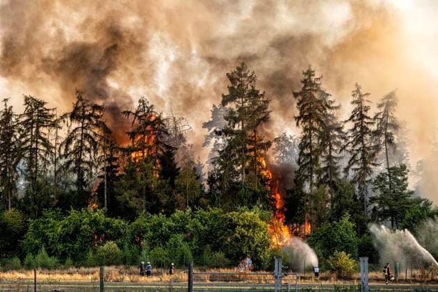 Waldbrand bei Sonsbeck Labbeck ** NUR FÜR REDAKTIONELLE ZWECKE ** EDITORIAL USE ONLY **<p>Eine Waldfläche brennt am 14.8.2026 Neben der Marienbaumer Straße in Lübeck. Die Feuerwehr ist mit vielen Kräften am Löschen Foto : Arnulf Stoffel Funke Foto Services < p> Buntes Deutschland NRW Sonsbeck Copyright: ArnulfxStoffel *** Forest Fire Near Sonsbeck Labbeck ** FOR EDITORIAL USE ONLY ** EDITORIAL USE ONLY ** p A forest area is on fire on August 14, 2026, next to Marienbaumer Straße in Lübeck. The fire department is on the scene with a large number of personnel to extinguish the blaze. Photo by Arnulf Stoffel, Funke Foto Services p Colorful Germany, North Rhine-Westphalia, Sonsbeck. Copyright ArnulfxStoffel Copyright: ArnulfxStoffel doc875rzd9alquzwhmxl9y ,EDITORIAL USE ONLY