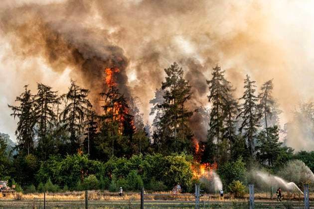 Waldbrand bei Sonsbeck Labbeck ** NUR FÜR REDAKTIONELLE ZWECKE ** EDITORIAL USE ONLY **<p>Eine Waldfläche brennt am 14.8.2026 Neben der Marienbaumer Straße in Lübeck. Die Feuerwehr ist mit vielen Kräften am Löschen Foto : Arnulf Stoffel Funke Foto Services < p> Buntes Deutschland NRW Sonsbeck Copyright: ArnulfxStoffel *** Forest Fire Near Sonsbeck Labbeck ** FOR EDITORIAL USE ONLY ** EDITORIAL USE ONLY ** p A forest area is on fire on August 14, 2026, next to Marienbaumer Straße in Lübeck. The fire department is on the scene with a large number of personnel to extinguish the blaze. Photo by Arnulf Stoffel, Funke Foto Services p Colorful Germany, North Rhine-Westphalia, Sonsbeck. Copyright ArnulfxStoffel Copyright: ArnulfxStoffel doc875rzdbrfs5d7o51p6b ,EDITORIAL USE ONLY