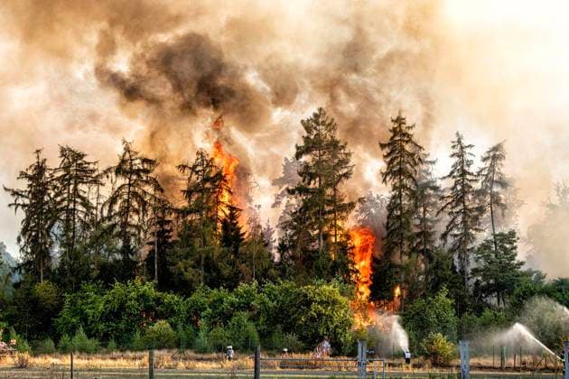 Waldbrand bei Sonsbeck Labbeck ** NUR FÜR REDAKTIONELLE ZWECKE ** EDITORIAL USE ONLY **<p>Eine Waldfläche brennt am 14.8.2026 Neben der Marienbaumer Straße in Lübeck. Die Feuerwehr ist mit vielen Kräften am Löschen Foto : Arnulf Stoffel Funke Foto Services < p> Buntes Deutschland NRW Sonsbeck Copyright: ArnulfxStoffel *** Forest Fire Near Sonsbeck Labbeck ** FOR EDITORIAL USE ONLY ** EDITORIAL USE ONLY ** p A forest area is on fire on August 14, 2026, next to Marienbaumer Straße in Lübeck. The fire department is on the scene with a large number of personnel to extinguish the blaze. Photo by Arnulf Stoffel, Funke Foto Services p Colorful Germany, North Rhine-Westphalia, Sonsbeck. Copyright ArnulfxStoffel Copyright: ArnulfxStoffel doc875rzdlxj1x1b5tx7osv ,EDITORIAL USE ONLY