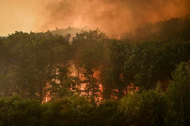 Waldbrände im Kreis Düren in der Eifel Hürtgenwald ** NUR FÜR REDAKTIONELLE ZWECKE ** EDITORIAL USE ONLY **<p>Es brennt weiter, auch am Abend, im Wald vor dem Dorf Großhau. Bagger graben Brandschneisen, die Feuerwehr und Hubschrauber sind im Einsatz am Freitag, dem 14 08 2026. Rauchschwaden verdunkeln den Himmel, die Sonne glüht knallrot. Waldbrände im Kreis Düren in der Eifel Hürtgenwald Deutschland NRW Essen Copyright: KerstinxKokoska *** Forest Fires in the Düren District in the Eifel Region, Hürtgenwald ** FOR EDITORIAL USE ONLY ** EDITORIAL USE ONLY ** p The fire continues to burn, even in the evening, in the forest outside the village of Großhau. Excavators are digging firebreaks; firefighters and helicopters are on Copyright: KerstinxKokoska doc875s23mvzsnu1rmzov2 ,EDITORIAL USE ONLY
