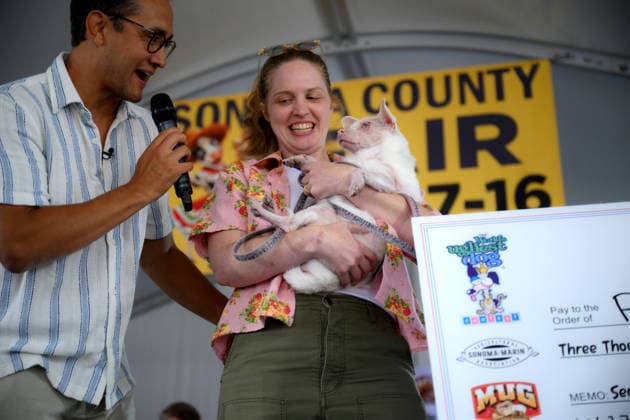 Winners of World s Ugliest Dog 2026 contest in California SONOMA COUNTY, CALIFORNIA - AUG 14: Dog named Pinky won the second place of the 2026 World s Ugliest Dog contest as her owner Laura Brown was awarded $3,000 on August 14, 2026 at Sonoma County Event Center in Santa Rosa, California, United States. Tayfun Coskun Anadolu California United States. Editorial use only. Please get in touch for any other usage.  Copyright: x2026xAnadoluxTayfunxCoskunx