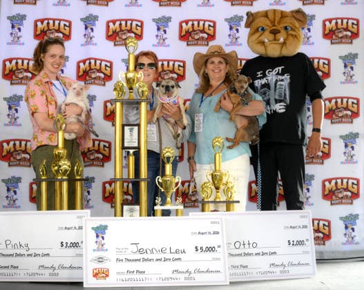 Winners of World s Ugliest Dog 2026 contest in California SONOMA COUNTY, CALIFORNIA - AUG 14: Dog named Jennie Leu was crowned as the winner of the 2026 World s Ugliest Dog contest that Pinky won second and Otto won third place on August 14, 2026 at Sonoma County Event Center in Santa Rosa, California, United States. Tayfun Coskun Anadolu California United States. Editorial use only. Please get in touch for any other usage.  Copyright: x2026xAnadoluxTayfunxCoskunx