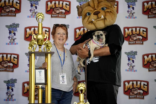 Winners of World s Ugliest Dog 2026 contest in California SONOMA COUNTY, CALIFORNIA - AUG 14: Dog named Jennie Leu was crowned as the winner of the 2026 World s Ugliest Dog contest with her owner Michelle Grady by her side and was awarded $5,000 on August 14, 2026 at Sonoma County Event Center in Santa Rosa, California, United States. Tayfun Coskun Anadolu California United States. Editorial use only. Please get in touch for any other usage.  Copyright: x2026xAnadoluxTayfunxCoskunx