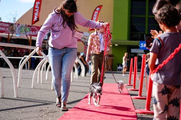World s Ugliest Dog contest 2026 in California SONOMA COUNTY, CALIFORNIA - AUG 14: Dog named Klara (front) and dog named Pinky compete during the World s Ugliest Dog contest 2026 at Sonoma County Event Center in Santa Rosa, California, United States on August 14, 2026. Tayfun Coskun Anadolu California United States. Editorial use only. Please get in touch for any other usage.  Copyright: x2026xAnadoluxTayfunxCoskunx
