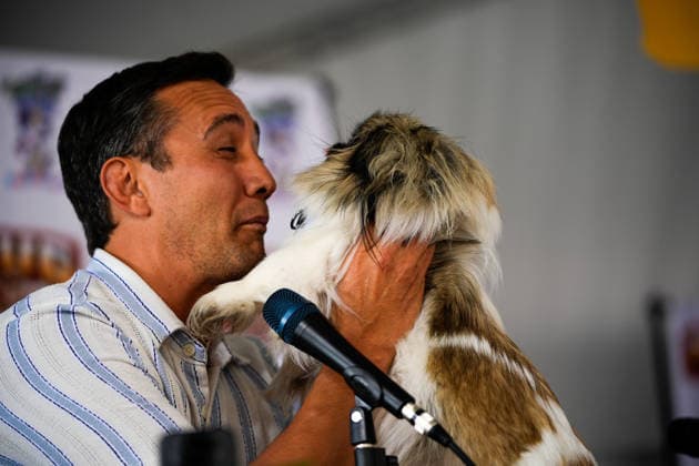 World s Ugliest Dog contest 2026 in California SONOMA COUNTY, CALIFORNIA - AUG 14: Dog named Zebuoodle competes during World s Ugliest Dog contest 2026 at Sonoma County Event Center in Santa Rosa, California, United States on August 14, 2026. Tayfun Coskun Anadolu California United States. Editorial use only. Please get in touch for any other usage.  Copyright: x2026xAnadoluxTayfunxCoskunx