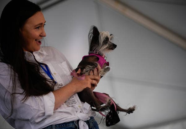 World s Ugliest Dog contest 2026 in California SONOMA COUNTY, CALIFORNIA - AUG 14: World s Ugliest Dog contest 2026 was held at Sonoma County Event Center in Santa Rosa, California, United States on August 14, 2026. Tayfun Coskun Anadolu California United States. Editorial use only. Please get in touch for any other usage.  Copyright: x2026xAnadoluxTayfunxCoskunx