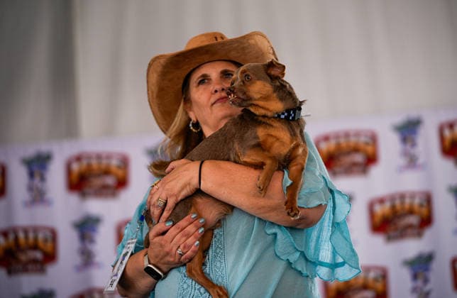 World s Ugliest Dog contest 2026 in California SONOMA COUNTY, CALIFORNIA - AUG 14: Dog named Otto won the third place of the 2026 World s Ugliest Dog contest as his owner Melinda Berry was awarded $2,000 on August 14, 2026 at Sonoma County Event Center in Santa Rosa, California, United States. Tayfun Coskun Anadolu California United States. Editorial use only. Please get in touch for any other usage.  Copyright: x2026xAnadoluxTayfunxCoskunx