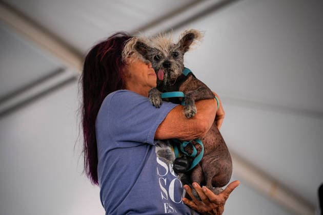World s Ugliest Dog contest 2026 in California SONOMA COUNTY, CALIFORNIA - AUG 14: Dog named Scooter competes during World s Ugliest Dog contest 2026 at Sonoma County Event Center in Santa Rosa, California, United States on August 14, 2026. Tayfun Coskun Anadolu California United States. Editorial use only. Please get in touch for any other usage.  Copyright: x2026xAnadoluxTayfunxCoskunx