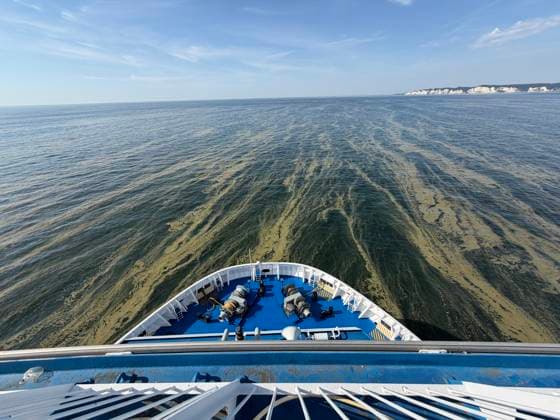 Blaualgen in der Ostsee Rostock 15.08.2026 Blaualgen in der Ostsee vor Rostock Vom Blick von einem Fährschiff vor der Insel Mön Rostock Ostsee Mecklenburg-Vorpommern Deutschland *** Blue-green Algae in the Baltic Sea, Rostock, August 15, 2026 Blue-green Algae in the Baltic Sea off Rostock View from a ferry off the island of Mön, Rostock, Baltic Sea, Mecklenburg-Western Pomerania, Germany