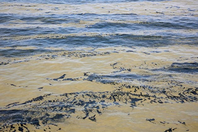 Blaualgen in der Ostsee Rostock 15.08.2026 Blaualgen in der Ostsee vor Rostock Rostock Ostsee Mecklenburg-Vorpommern Deutschland *** Blue-green algae in the Baltic Sea, Rostock, August 15, 2026 Blue-green algae in the Baltic Sea off Rostock Rostock, Baltic Sea, Mecklenburg-Western Pomerania, Germany