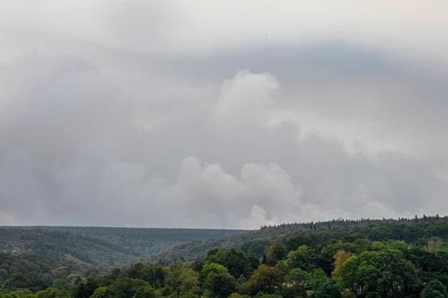 Fire in the Belgian High Fens JALHAY, BELGIUM - AUGUST 15 : An important fire has broken out in the Belgian High Fens on August 15, 2026 in Jalhay, Belgium, 15 08 2026 Jalhay Belgium  Copyright: xDhax