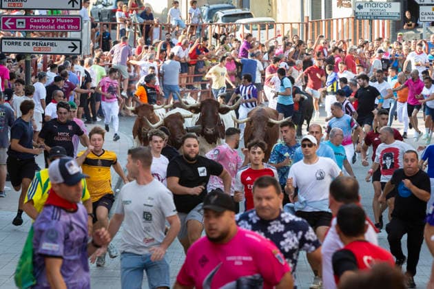 August 15, 2026, Penafiel, Valladolid, USA: Villagers coax the bulls during the running of the bulls (encierro) at the Fiestas de Nuestra Senora y San Roque in Penafiel, Spain on Saturday, August 15, 2026. The annual festival, taking place this year on August 14-18, includes traditional processions, bullfighting and lively celebrations. Penafiel USA - ZUMAg235 20260815_zap_g235_002 Copyright: xPaulxChristianxGordonx