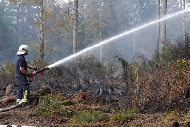 Loescharbeiten der Feuerwehr beim Waldbrand in Huertenwald Feuerwehrleute bei den Loescharbeiten in Gebeiten des Waldbrand in Huertgewald im Kreis Dueren. Die Feuerwehrmaenner und Feuerwehrfrauen loeschen letzte Glutnester am Boden und beweaessern die Flaechen, Huertgenwald, 15.08.2026 Huertgenwald NRW Deutschland *** Firefighters battling a wildfire in Huertgenwald Firefighters at the scene of the wildfire in Huertgenwald in the Düren district. The firefighters are extinguishing the last embers on the ground and dousing the area with water, Huertgenwald, August 15, 2026, Huertgenwald, North Rhine-Westphalia, Germany