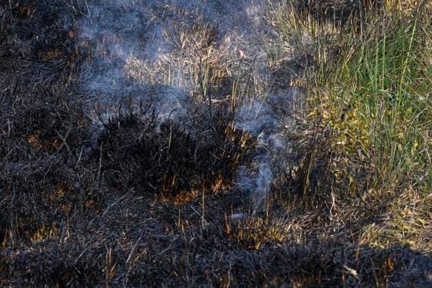 Fire in the Belgian High Fens JALHAY, BELGIUM - AUGUST 15 : An important fire has broken out in the Belgian High Fens on August 15, 2026 in Jalhay, Belgium, 15 08 2026 Jalhay Belgium  Copyright: xDhax