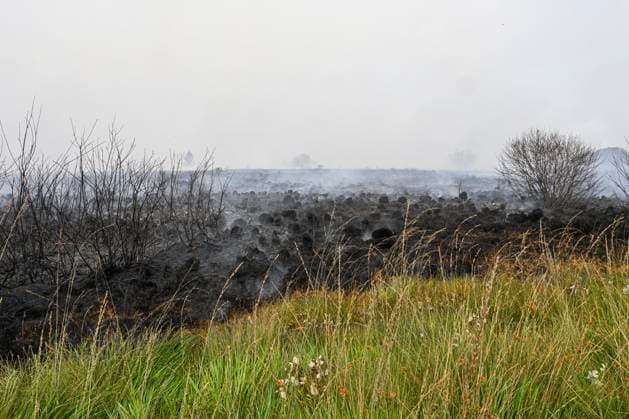 Fire in the Belgian High Fens JALHAY, BELGIUM - AUGUST 15 : An important fire has broken out in the Belgian High Fens on August 15, 2026 in Jalhay, Belgium, 15 08 2026 Jalhay Belgium  Copyright: xDhax