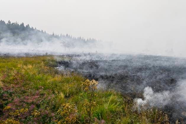 Fire in the Belgian High Fens JALHAY, BELGIUM - AUGUST 15 : An important fire has broken out in the Belgian High Fens on August 15, 2026 in Jalhay, Belgium, 15 08 2026 Jalhay Belgium  Copyright: xDhax