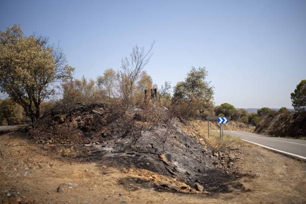 The Niebla Fire Leaves a Devastating Landscape in Berrocal, Huelva The Niebla Fire Leaves a Devastating Landscape in Berrocal, Huelva August 15, 2026, in Berrocal, Huelva, Andalusia, Spain The fire in Niebla, Huelva—which has burned more than 38,000 hectares after raging for over a week— has hit the municipality of Berrocal hard, where the flames have ravaged more than 90% of its municipal territory, leaving a desolate landscape of charcoal and ashes. August 15, 2026, Berrocal, Huelva, Andalusia, Sp Berrocal, Huelva, Andalusia, Sp Spain  Copyright: xClaraxCarrascox 7715619