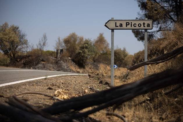 The Niebla Fire Leaves a Devastating Landscape in Berrocal, Huelva The Niebla Fire Leaves a Devastating Landscape in Berrocal, Huelva August 15, 2026, in Berrocal, Huelva, Andalusia, Spain The fire in Niebla, Huelva—which has burned more than 38,000 hectares after raging for over a week— has hit the municipality of Berrocal hard, where the flames have ravaged more than 90% of its municipal territory, leaving a desolate landscape of charcoal and ashes. August 15, 2026, Berrocal, Huelva, Andalusia, Sp Berrocal, Huelva, Andalusia, Sp Spain  Copyright: xClaraxCarrascox 7715617