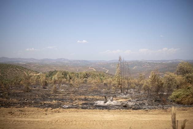 The Niebla Fire Leaves a Devastating Landscape in Berrocal, Huelva The Niebla Fire Leaves a Devastating Landscape in Berrocal, Huelva August 15, 2026, in Berrocal, Huelva, Andalusia, Spain The fire in Niebla, Huelva—which has burned more than 38,000 hectares after raging for over a week— has hit the municipality of Berrocal hard, where the flames have ravaged more than 90% of its municipal territory, leaving a desolate landscape of charcoal and ashes. August 15, 2026, Berrocal, Huelva, Andalusia, Sp Berrocal, Huelva, Andalusia, Sp Spain  Copyright: xClaraxCarrascox 7715618