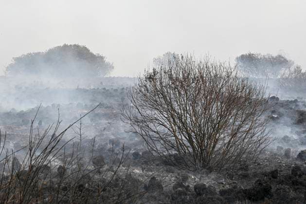 Fire in the Belgian High Fens JALHAY, BELGIUM - AUGUST 15 : An important fire has broken out in the Belgian High Fens on August 15, 2026 in Jalhay, Belgium, 15 08 2026 Jalhay Belgium  Copyright: xDhax