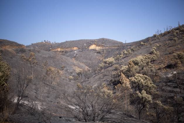 The Niebla Fire Leaves a Devastating Landscape in Berrocal, Huelva The Niebla Fire Leaves a Devastating Landscape in Berrocal, Huelva August 15, 2026, in Berrocal, Huelva, Andalusia, Spain The fire in Niebla, Huelva—which has burned more than 38,000 hectares after raging for over a week— has hit the municipality of Berrocal hard, where the flames have ravaged more than 90% of its municipal area, leaving a desolate landscape of charcoal and ashes. August 15, 2026, Berrocal, Huelva, Andalusia, Sp Berrocal, Huelva, Andalusia, Sp Spain  Copyright: xClaraxCarrascox 7715623
