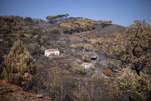 The Niebla Fire Leaves a Devastating Landscape in Berrocal, Huelva The Niebla Fire Leaves a Devastating Landscape in Berrocal, Huelva August 15, 2026, in Berrocal, Huelva, Andalusia, Spain The fire in Niebla, Huelva—which has burned more than 38,000 hectares after raging for over a week— has hit the municipality of Berrocal hard, where the flames have ravaged more than 90% of its municipal area, leaving a desolate landscape of charcoal and ashes. August 15, 2026, Berrocal, Huelva, Andalusia, Sp Berrocal, Huelva, Andalusia, Sp Spain  Copyright: xClaraxCarrascox 7715624