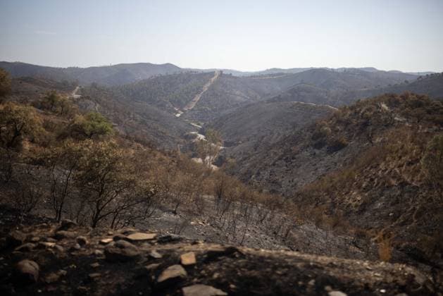 The Niebla Fire Leaves a Devastating Landscape in Berrocal, Huelva The Niebla Fire Leaves a Devastating Landscape in Berrocal, Huelva August 15, 2026, in Berrocal, Huelva, Andalusia, Spain The fire in Niebla, Huelva—which has burned more than 38,000 hectares after raging for over a week— has hit the municipality of Berrocal hard, where the flames have ravaged more than 90% of its municipal area, leaving a desolate landscape of charcoal and ashes. August 15, 2026, Berrocal, Huelva, Andalusia, Sp Berrocal, Huelva, Andalusia, Sp Spain  Copyright: xClaraxCarrascox 7715629