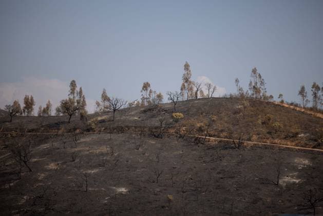 The Niebla Fire Leaves a Devastating Landscape in Berrocal, Huelva The Niebla Fire Leaves a Devastating Landscape in Berrocal, Huelva August 15, 2026, in Berrocal, Huelva, Andalusia, Spain The fire in Niebla, Huelva—which has burned more than 38,000 hectares after raging for over a week— has hit the municipality of Berrocal hard, where the flames have ravaged more than 90% of its municipal area, leaving a desolate landscape of charcoal and ashes. August 15, 2026, Berrocal, Huelva, Andalusia, Sp Berrocal, Huelva, Andalusia, Sp Spain  Copyright: xClaraxCarrascox 7715630