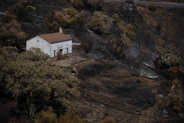 The Niebla Fire Leaves a Devastating Landscape in Berrocal, Huelva The Niebla Fire Leaves a Devastating Landscape in Berrocal, Huelva August 15, 2026, in Berrocal, Huelva, Andalusia, Spain The fire in Niebla, Huelva—which has burned more than 38,000 hectares after raging for over a week— has hit the municipality of Berrocal hard, where the flames have ravaged more than 90% of its municipal area, leaving a desolate landscape of charcoal and ashes. August 15, 2026, Berrocal, Huelva, Andalusia, Sp Berrocal, Huelva, Andalusia, Sp Spain  Copyright: xClaraxCarrascox 7715634