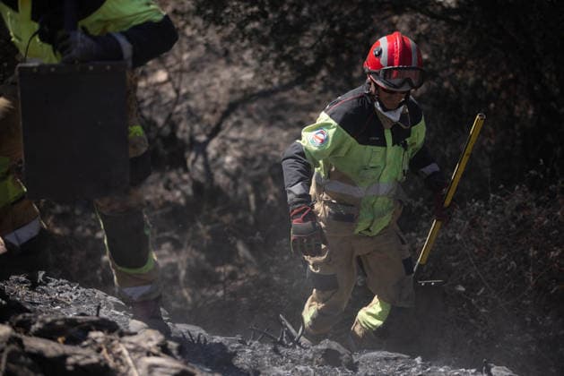 The Niebla Fire Leaves a Devastating Landscape in Berrocal, Huelva Firefighters are battling the Niebla fire in the municipality of Berrocal, Huelva August 15, 2026, in Berrocal, Huelva, Andalusia, Spain The Niebla, Huelva, fire—which has burned more than 38,000 hectares after raging for over a week— has hit the municipality of Berrocal hard, where the flames have ravaged more than 90% of its municipal area, leaving a desolate landscape of charcoal and ashes. August 15, 2026, Berrocal, Huelva, Andalusia, Sp Berrocal, Huelva, Andalusia, Sp Spain  Copyright: xClaraxCarrascox 7715645