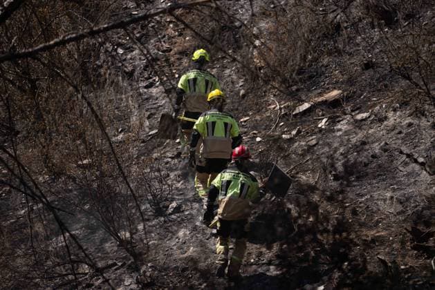 The Niebla Fire Leaves a Devastating Landscape in Berrocal, Huelva Firefighters are battling the Niebla fire in the municipality of Berrocal, Huelva August 15, 2026, in Berrocal, Huelva, Andalusia, Spain The Niebla, Huelva, fire—which has burned more than 38,000 hectares after raging for over a week— has hit the municipality of Berrocal hard, where the flames have ravaged more than 90% of its municipal area, leaving a desolate landscape of charcoal and ashes. August 15, 2026, Berrocal, Huelva, Andalusia, Sp Berrocal, Huelva, Andalusia, Sp Spain  Copyright: xClaraxCarrascox 7715639