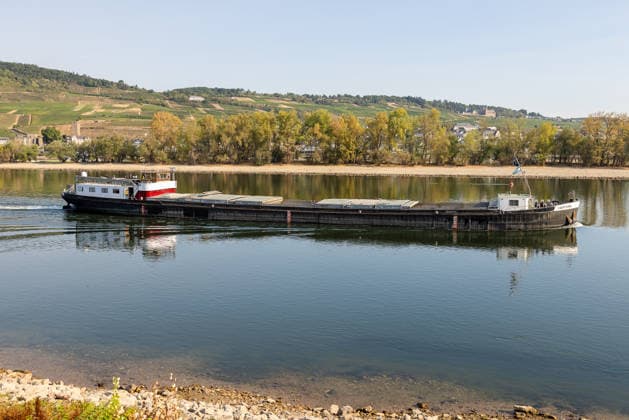 Niedrigwasser am Rhein nach langer Dürrephase, Bingen, 15.08.2026 Ein Frachtschiff fährt nur teilweise beladen den Rhein entlang, da niedriger Wasserstand die Ladekapazität einschränkt. Im Hintergrund sind Weinberge an den Hängen zu sehen. Bingen Rheinland-Pfalz Deutschland *** Low Water Levels on the Rhine Following a Long Drought, Bingen, August 15, 2026 A cargo ship is sailing down the Rhine only partially loaded, as low water levels are limiting its cargo capacity. Vineyards on the hillsides can be seen in the background. Bingen, Rhineland-Palatinate, Germany 20260815-286A5491-M4000