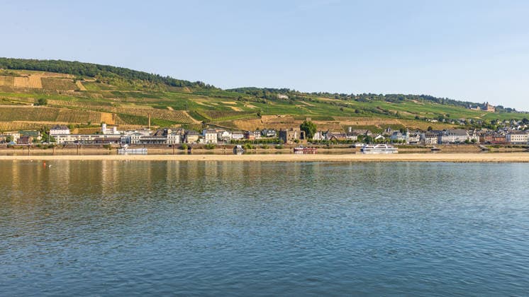 Niedrigwasser am Rhein nach langer Dürrephase, Bingen, 15.08.2026 Ein breiter, trockengelegter Uferstreifen entlang des Flusses zeugt von anhaltender Trockenheit. Weinberge bedecken die Hänge oberhalb der Uferpromenade, während ein Fahrgastschiff auf dem Wasser unterwegs ist. Bingen Rheinland-Pfalz Deutschland *** Low water levels on the Rhine following a long period of drought, Bingen, August 15, 2026 A wide, dry strip of riverbank along the river bears witness to the ongoing drought. Vineyards cover the slopes above the riverfront promenade, while a passenger ship navigates the water. Bingen, Rhineland-Palatinate, Germany 20260815-286A5507-M4000