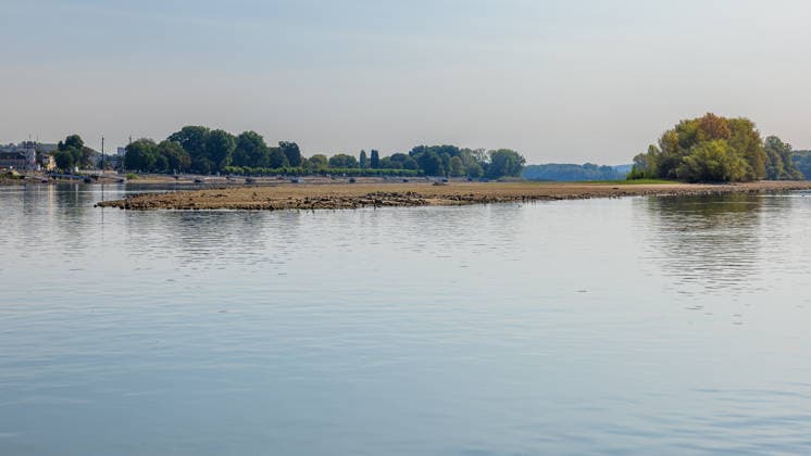 Niedrigwasser am Rhein nach langer Dürrephase, Bingen, 15.08.2026 Eine breite Sandbank und flache Kiesbänke ragen durch anhaltendes Niedrigwasser aus dem Flussbett. Die trockene Dürrephase hat den Wasserstand deutlich sinken lassen, sichtbar an den freigelegten Uferzonen und Inseln im Fluss. Bingen Rheinland-Pfalz Deutschland *** Low Water Levels on the Rhine Following a Long Drought, Bingen, August 15, 2026 A wide sandbar and shallow gravel banks protrude from the riverbed due to persistently low water levels. The prolonged drought has caused the water level to drop significantly, as evidenced by the exposed riverbanks and islands in the river. Bingen, Rhineland-Palatinate, Germany 20260815-286A5527-M4000