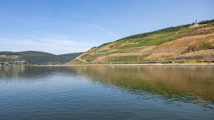Niedrigwasser am Rhein nach langer Dürrephase, Rüdesheim am Rhein, 15.08.2026 Der Rhein mit deutlich abgesenktem Wasserstand fließt an terrassierten Weinbergen entlang steiler Hänge vorbei. Die spiegelglatte Wasseroberfläche reflektiert die Hügellandschaft unter wolkenlosem Himmel. Rüdesheim am Rhein Hessen Deutschland *** Low Water Levels on the Rhine Following a Long Drought, Rüdesheim am Rhein, August 15, 2026 The Rhine, with its water level significantly lowered, flows past terraced vineyards on steep slopes. The mirror-smooth water surface reflects the rolling hills under a cloudless sky. Rüdesheim am Rhein, Hesse, Germany 20260815-286A5536-M4000