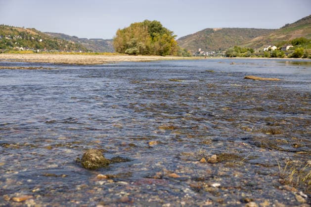 Niedrigwasser am Rhein nach langer Dürrephase, Lorch, 15.08.2026 Das Rhein Flussbett liegt bei niedrigem Wasserstand weitgehend frei, Kies- und Schotterbänke ragen aus der Strömung. Außerhalb der Fahrrinne fließt das Wasser nur noch sehr flach über den sichtbaren Untergrund. Lorch Hessen Deutschland *** Low Water Levels on the Rhine Following a Long Drought, Lorch, August 15, 2026 With water levels low, the Rhine riverbed is largely exposed, and gravel and cobble banks protrude from the current. Outside the navigation channel, the water flows only very shallowly over the visible riverbed. Lorch, Hesse, Germany 20260815-286A5610-M4000