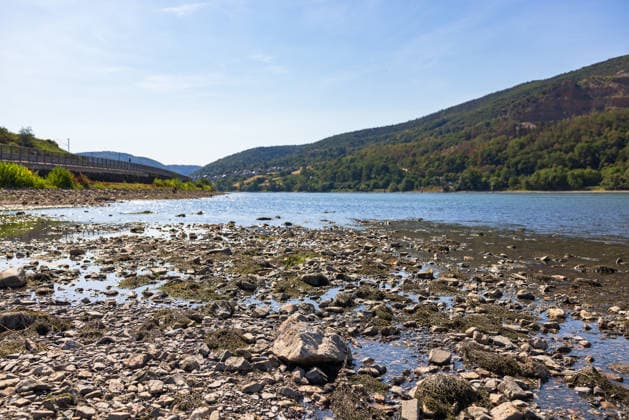 Niedrigwasser am Rhein nach langer Dürrephase, Lorch, 15.08.2026 Der Rhein führt nach langer Dürrephase extremes Niedrigwasser zwischen Mainz und Koblenz. Weite Stein- und Kiesflächen liegen am Ufer trocken, nur schmale Wasserrinnen durchziehen das freigelegte Flussbett. Lorch Hessen Deutschland *** Low Water Levels on the Rhine Following a Long Drought, Lorch, August 15, 2026 After a long drought, the Rhine is at extremely low levels between Mainz and Koblenz. Vast areas of rock and gravel lie dry on the banks; only narrow channels of water run through the exposed riverbed. Lorch, Hesse, Germany 20260815-286A5623-M4000