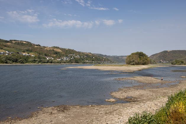 Niedrigwasser am Rhein nach langer Dürrephase, Lorch, 15.08.2026 Der Rhein führt nach langer Dürrephase extremes Niedrigwasser zwischen Mainz und Koblenz. Weite Sand- und Kiesbänke liegen trocken, zwei Personen laufen über das freigelegte Flussbett. Lorch Hessen Deutschland *** Low Water Levels on the Rhine After a Long Drought, Lorch, August 15, 2026 After a long drought, the Rhine is at extremely low levels between Mainz and Koblenz. Extensive sand and gravel banks lie dry, and two people are walking across the exposed riverbed. Lorch, Hesse, Germany 20260815-286A5630-M4000