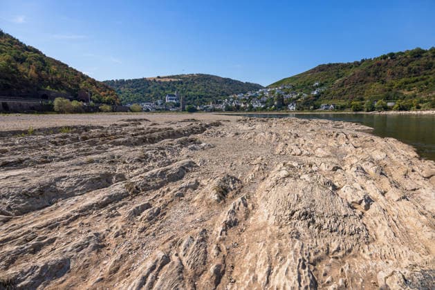 Niedrigwasser am Rhein nach langer Dürrephase, Kaub, 15.08.2026 Freigelegte Felsformationen und Kiesbänke prägen das Flussbett bei extremem Niedrigwasser. Am gegenüberliegenden Ufer sind Oberwesel am Mittelrhein und bewaldete Hügel zu erkennen, der Himmel zeigt sich wolkenlos bei sommerlicher Trockenheit. Kaub Rheinland-Pfalz Deutschland *** Low Water Levels on the Rhine Following a Long Drought, Kaub, August 15, 2026 Exposed rock formations and gravel banks characterize the riverbed during extremely low water levels. On the opposite bank, Oberwesel on the Middle Rhine and forested hills can be seen; the sky is cloudless amid the summer drought. Kaub, Rhineland-Palatinate, Germany 20260815-286A5707-M4000
